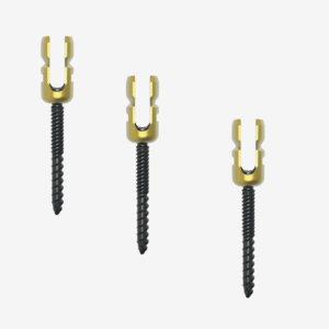 REDUCTION SCREW