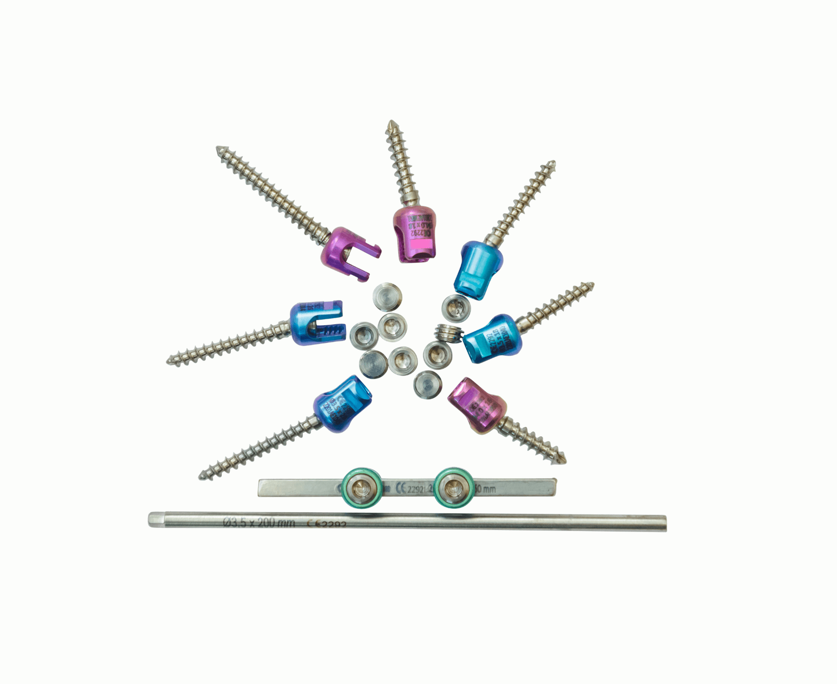 মহানন্দা Lateral Mass - Image 3